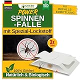GREEN GUARDIA Spinnen Falle mit Spezial-Lockstoff - 3X Spinnen Fallen - umweltfreundlich Spinnen bekämpfen, Chemiefreie Falle mit starker Klebefläche, giftfrei & geruchsneutral