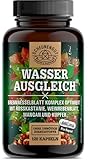 WASSERAUSGLEICH® Brennnessel Kapseln - WICHTIG: Komplex mit Rosskastanienextrakt, Roter Weinlaub, Mangan & Kupfer I ohne Chemie I 120 Stk -DE- SCHEUNENGUT®