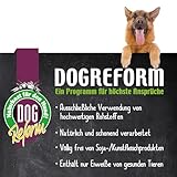 Schecker Hundeknochen - ca. 800g / 50 cm Riesenknochen vom Strauß - Oberschenkelknochen vom afrikanischen Strauß.
