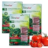 floraline® | 30x Tomaten - Düngestäbchen | pro Stäbchen: Tomatendünger für bis zu 3 Monate hohe Ernten und schmackhafte Früchte pro Stäbchen | Schonende & kinderleichte Anwendung