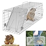 Lebendfalle Katze Groß in 61x19x21cm, Stabile Drahtfalle als Katzenfalle Kaninchenfalle Marderfalle Wühlmausfalle, Tierfreundliche Mäusefalle, Hochsensitive Wiederverwendbare Rattenfalle Lebend