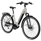 TRETWERK 28 Zoll E-Bike Damen Fahrrad Trekkingbike - Amber - Pedelec Damenfahrrad mit 8 Gang Schaltung - Elektrofahrrad Mittelmotor (grau, 48 cm)
