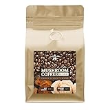 Pilzkaffee 250mg - Gemahlener Kaffee mit Chaga und Löwenmähne 2,5% Extrakten (30% Polysaccharide) - Vegan und Zuckerfrei - Natürlicher Geschmack - von Apollo's Hegemony