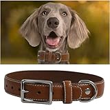 Hundehalsband aus echtem Leder, robustes Hundehalsband mit stabiler Metallschnalle, dickes Halsband für Spaziergänge, Wandern, Training, Jagd (M: passend für Halsumfang von 33 - 44,5 cm)