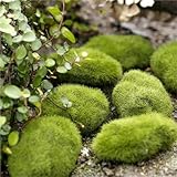 Moosbälle 10 stücke 4 Größe Grün Gefälschte Stein Künstliche Moos Felsen Wohnkultur Simulation Anlage DIY Dekoration for Garten Und Handwerk(About 8cm)