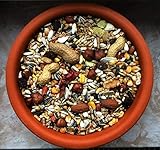 5 kg natürliches Eichhörnchen Futter in Premium Qualität Eichhörnchenfutter der Spitzenklasse Streufutter Futterhaus