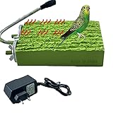 Lelukee Vogel Barsch Stand Plattform Korksitzbrett Wellensittich Vogel Heizung für Graupapageien, Sittiche, Papageien, kleine Vögel 5 W Konstante Temperatur 3,3' X5,2