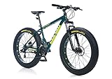 Corelli Zengo Fat Bike HD Bremse 21V K:16 grün - grau