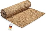 blizz-z Schilfrohrmatte 100 x 600 cm (1 Rolle) | Sichtschutz, Windschutz & Sonnenschutz für Balkon, Terrasse, Garten | Stammschutz für Bäume | Made in EU