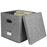 Tragbare Album-Aufbewahrungsbox – stapelbarer Plattenhalter, Archivbedarf für Bürohäuser | Klare Etikettentasche mit angebrachtem Deckel, einfache Identifizierung, Love Record IDEA GACEU