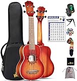 Winzz Ukulele Sopran 21 Zoll Set für Kinder Anfänger und Erwachsene Einsteiger, Mahagoni-Holz, Einzigartige Kaufen Geschenke (Carbon Saiten, Matte Sunburst)