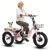 flatpincololee Elektro Dreirad Fahrrad 500W Motor, 48V 13Ah Herausnehmbarer Akku – 20' Geländereifen,Doppelscheibenbremse,Stabiler Rahmen,LED Display,Großer Korb,Dreirad für Erwachsene Elektro Pink