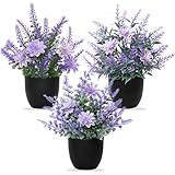 Betylifoy Künstliche Pflanzen mit Topf 3pcs Kunstpflanze Kleine Lavendel Pflanzen Dekor Kunststoff Pflanzen Indoor Dekor für Büro Haus Schlafzimmer Wohnzimmer Badezimmer (3, Schwarzer Topf mit Blume)