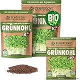 ZenGreens® - Bio Grühnkohl Sprossen Samen - Wähle zwischen 10g, 200g und 500g - Grühnkohl Bio Saatgut - Keimrate von über 95% - Grühnkohl Sprossensamen zum Keimsprossen ziehen - Microgreens