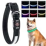 Leuchthalsband Hund, USB LED Leuchthalsband Hund Aufladbar, IPX7 Wasserdichtes Hundehalsband Leuchtend Einstellbare Größe 3 Beleuchtungsmodi für Hunde Pet Night Walking Safety