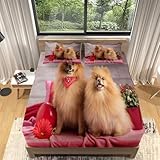 Welpe Spannbettlaken 180x200cm Pommern Bettlaken 3D Erwachsener Spannbetttuch 180x200 Spannbetttücher Topper 30 cm Höhe Weiche Mikrofaser mit 2 Kopfkissenbezugen a/1961