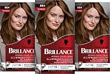 Brillance Intensiv-Color-Creme 864 Rehbraun (160 ml), dauerhafte Haarfarbe mit Diamant-Glanz und Pflege-Conditioner, für 10 Wochen Farbintensität