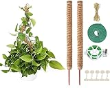 2 Pack 120 cm Moosstab Pflanzenstab Monstera Rankhilfe Biegsame Moosstab Monstera Stab Pflanzstab Monstera für Kletterpflanzen Pflanzenname Pflanzzeit Pflanzenunterstützung