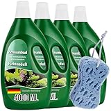 Schaumbad Badewanne Fichte 4 x 4L - Wellness Badezusatz mit Fichtennadel-Aroma, Hautpflege & Entspannung, inkl. Schwamm