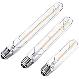 Vanpus 6W T30 E27 LED Glühbirnen AC/DC 12-24V Edison Schraube LED Glühfaden Glühbirne Warm Weiß 3000K Vintage Glühbirne Äquivalent 60W Halogen 360 Grad für RV Camper Marine Yacht Lorry (4 Stück)