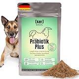Kaer Basic Präbiotik Plus für Hunde – bei verstopften Analdrüsen, Kotfressen, Juckreiz, Pfotenlecken & Sodbrennen, mit natürlichen Ballaststoffen zur Stärkung der Darmflora - 200g Pulver