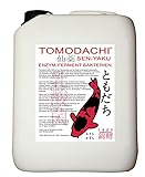 Filterbakterien, probiotische Bakterienkulturen, Milchsäurebakterien für Koi und Koiteich, unterstützt Futterverwertung, Stoffwechsel, Immunsystem, baut Algen und Schlamm im Teich ab, 5 Liter Kanister