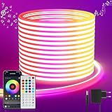 Neon Led Strip 5M RGB, Led Streifen mit APP Steuerung Fernbedienung, IP65 Outdoor Wasserdichte Flexible LED Leiste, 24V LED Band Lichtschlauch Außen Innen Musik Sync DIY für Zimmer Raum Wand Gaming