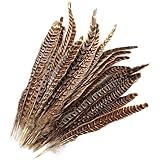 MWOOT 20 stück Fasan Federn, 25-30cm/ 10-12 Zoll Länge Fasan Schwanzfedern, Hutfeder, Natural Craft feather