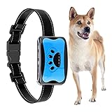 Halsbänder für Hunde,Hundehalsband Tierfreundliches Automatisierung,Klassisches Geeignet für alle Größen von großen und kleinen Hunden (r)