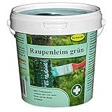 Schacht Raupenleim Grün 1kg Eimer