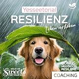 Was bedeutet Resilienz.2 - Resilienz, die 7 Säulen der mentalen Stärke, mit Selbsttest im Hörbuch zur Stärkung deiner inneren Widerstandskraft