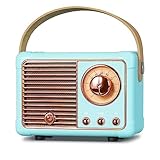 prunus J-999 Mini Bluetooth Lautsprecher mit Radio FM, Retro Radio Bluetooth Speaker Wiederaufladbarer,Bluetooth 5.0/Überragend guter Klang, unterstützt USB/TF/AUX/Freisprechanrufe(Blau)