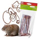 SWISSINNO Wühlmaus-Drahtfalle – Effiziente Schlagfalle mit hoher Fangquote – Für unterirdische Gänge – Wetterfestes Metall – Wiederverwendbar – Einfache Anwendung – 2 Fallen