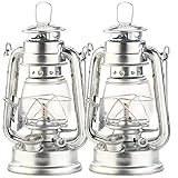 Lunartec Petroleum Lampen: 2er-Set Petroleum-Sturmlaternen mit Glaskolben, verzinkt, 18,5 cm (Öllaterne, Sturm-Laterne, feuerfest)