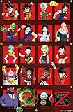 Dragon Ball Z – Jubiläums-Wandposter