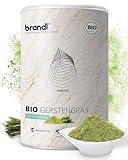 Gerstengras-Pulver BIO in Rohkost-Qualität aus Österreich und abgefüllt in Deutschland| Optimal für Sportler by brandl® | 500g Bio Gerstengras