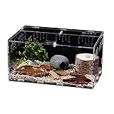 CiCixixi Schnecken Terrarium, 30 x 20 x 15 cm Acryl Terrarium Reptil Fütterungsbox Transparent Mini Terrarium Tragbarer Reptilien-Zuchtbox für Schnecken, Spinnen, Gecko, Chamäleon