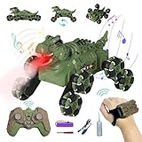 Fullware Dinosaurier Monstertruck Ferngesteuertes Auto RC Drift Cart ab 3 4 5 6 7 8 Jahre mit Gestensteuerung, LED Lights und Sprühnebel, Spielzeug ab 4 5 6 Jahre Jungen, Geschenke für Jungen