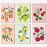 lxmydm Malen nach Zahlen Obst-Set 6-teilig DIY handgemaltes Ölgemälde-Set für Erwachsene und Anfänger Geschenk mit Pinseln und Acrylfarben bunt 20 x 30 cm