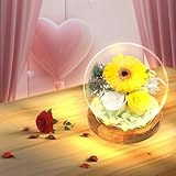 Gohytal Künstliche Sonnenblume in Glas, Echte Sonnenblumen Geschenk für Frauen Weihnachten, Sonnenblumen mit LED Licht, Sonnenblumendeko in Glas Geschenk für Frauen Freundin Mama Oma Schwester Mädchen