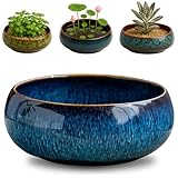 Oncpcare Lotus-Schale Pflanztopf – Keramik Wasserpflanzentopf Heiliger Bonsai-Schale Lotusblume, flache glasierte Vase für Lotussamen, Bonsai, Sukkulenten, Hydroponische Pflanzen (Blau)