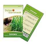 Katzengras Samen - Avena sativa und Lolium perenne - Katzengrassamen - 10 g Saatgut für etwa 5 Töpfe