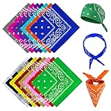 RISF 15 Stück Bandanas, 15 Farben Bandana Damen Herren, Polyester Paisley Bandana, 54 x 54cm Bandana Kopftuch, Nickitücher für Kopf, Hals, Arme