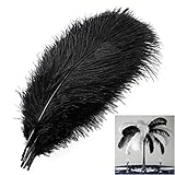 MWOOT 10 Stück Natürliche Straußenfedern, Strauß Feder Plume für Hochzeit Party Fest Tisch Herzstück Dekoration (Schwarz, 25-30cm)