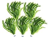 5 Bund Wasserpest, Teich Pflanze, Wasserpflanze, Elodea Densa, Aquarium Pflanze