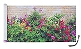 Maximex Balkon-Sichtschutz, praktischer Sichtschutz mit farbenfrohem Mauerblumen-Motiv, windschützende Sichtschutzplane mit hoher UV- und Witterungsbeständigkeit, schnelltrocknend und reißfest, 5 m
