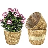 REFORUNG 2 STK Blumentopf Seegras Pflanzkorb Übertopf Geflochten Pflanzkübel Blumenkübel Ø18cm Blumenkorb Gewebter Pflanztopf Blumenübertopf Klein Kräutertopf Aufbewahrungskorb Pflanzen für Outdoor