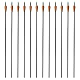 Compoundbögen Pfeile 30' 12 STK. aus Fiberglas - Hochwertige Sportpfeile für Bogenschießen, Training und Jagd - Langlebig und präzise