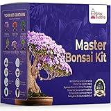 Master Bonsai Kit - Bonsai-Pflanzen-Anzucht-Set - Professionelle Bonsai-Anzucht und Styling-Set - Japanischer Bonsai - Werden Sie Bonsai-Meister - Ideales Bonsai-Baum-Samen-Set für den Indoor