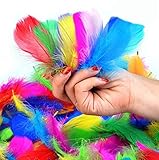 SUNRIZ Bunte Federn,300 Stück Bunte Natürliche Federn Naturfedern für DIY Handwerk Art Design Basteln Karneval Rosen Montag Halloween Fest Versch